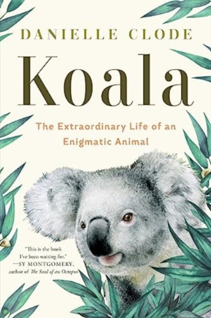 Book cover of: Koala. By: Danielle Clode