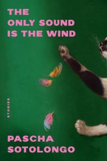 Book cover of: Only Sound Is the Wind. By: Pascha Sotolongo