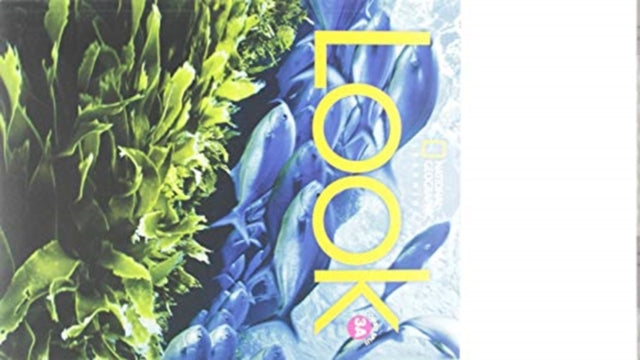 Book cover of: Look 3: Combo Split A