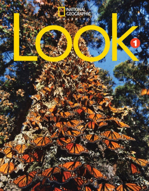 Look 1: Workbook