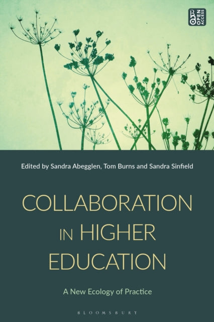 Book cover of: Collaboration in Higher Education. By: Sandra Abegglen