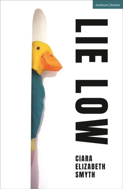 Book cover of: Lie Low. By: Ciara Elizabeth Smyth