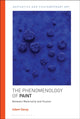 Book cover of: Phenomenology of Paint