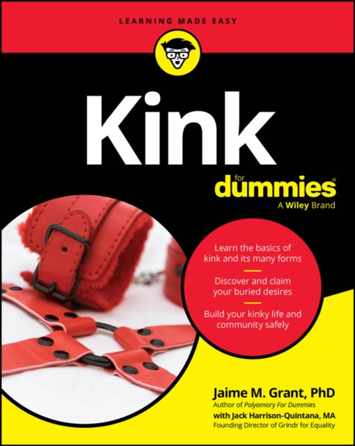 Kink For Dummies 9781394353248 Jaime M. Grant