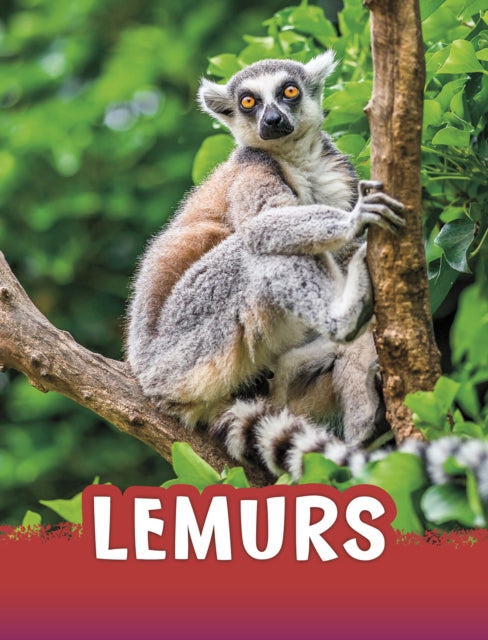 Book cover of: Lemurs. By: Jaclyn Jaycox