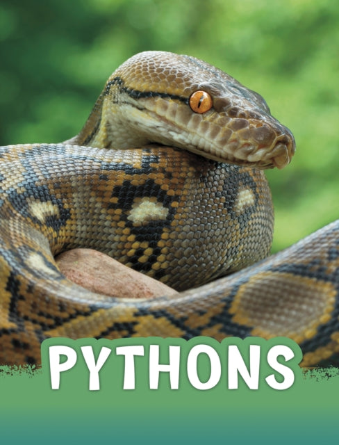 Book cover of: Pythons. By: Martha E. Rustad