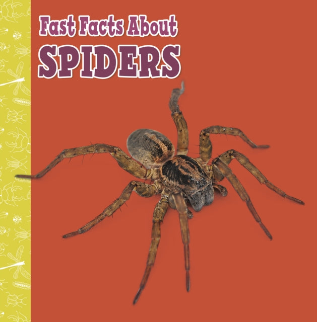 Book cover of: Fast Facts About Spiders. By: Julia Garstecki-Derkovitz