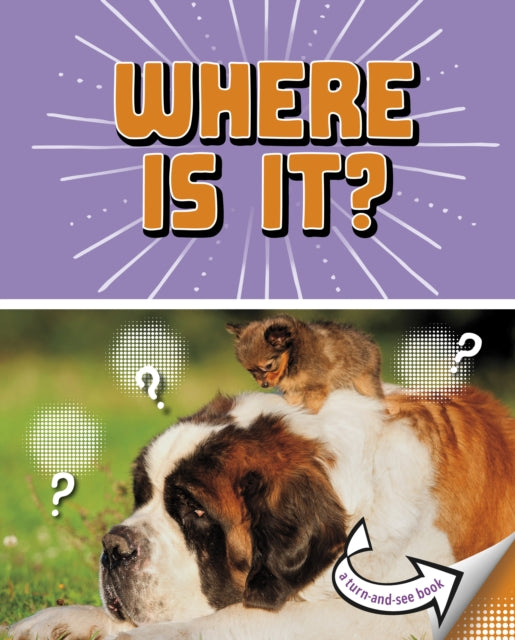 Book cover of: Where Is It?. By: Cari Meister