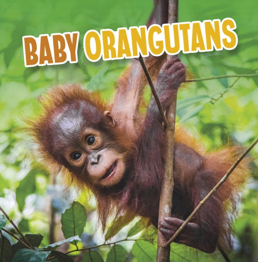 Book cover of: Baby Orangutans. By: Martha E. H. Rustad