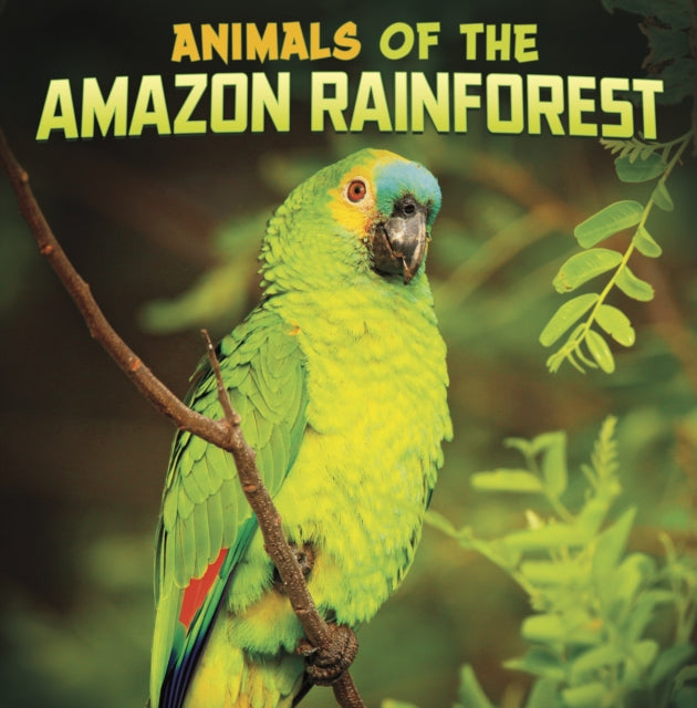 Book cover of: Animals of the Amazon Rainforest. By: Mari C. Schuh