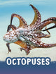 Book cover of: Octopuses. By: Jaclyn Jaycox
