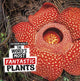 Book cover of: World's Most Fantastic Plants. By: Cari Meister