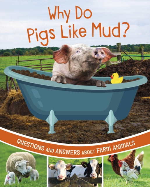 Book cover of: Why Do Pigs Like Mud?. By: Katherine Rawson
