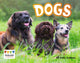 Book cover of: Dogs. By: Kelly Gaffney