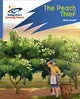 Book cover of: Reading Planet: Rocket Phonics – Target Practice – The Peach Thief – Blue. By: Abigail Steel