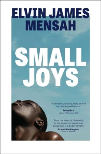 Book cover of: Small Joys. By: Elvin James Mensah