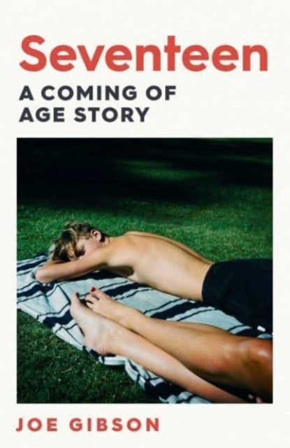 Book cover of: Seventeen. By: Joe Gibson