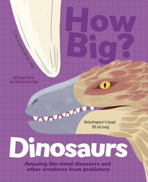 How Big? Dinosaurs, Amazing Life-Sized Dinosaurs and Other Creatures from Prehistory 9781398828582 Dougal Dixon