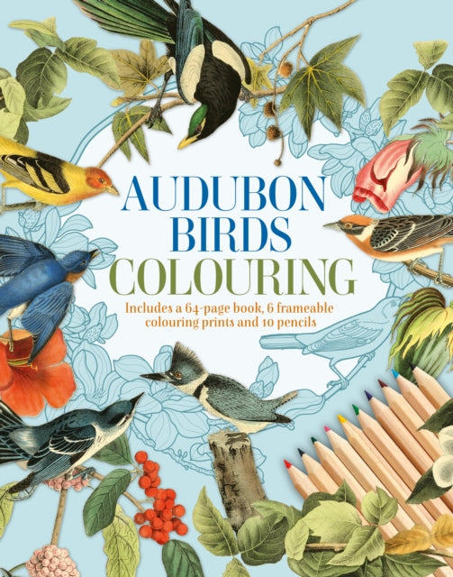 Book cover of: Audubon Birds Colouring Kit