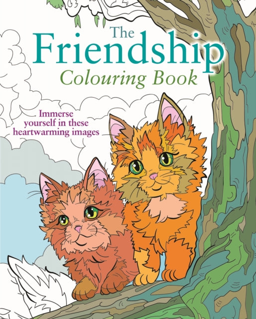 Book cover of: Friendship Colouring Book