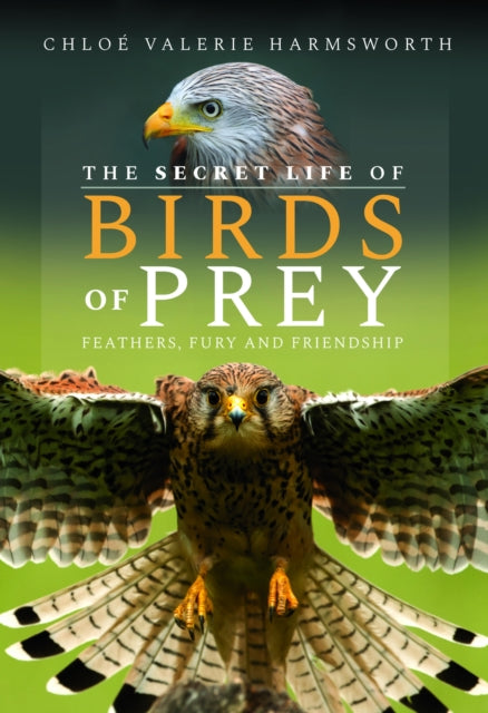 Book cover of: Secret Life of Birds of Prey. By: Chloé Valerie Harmsworth
