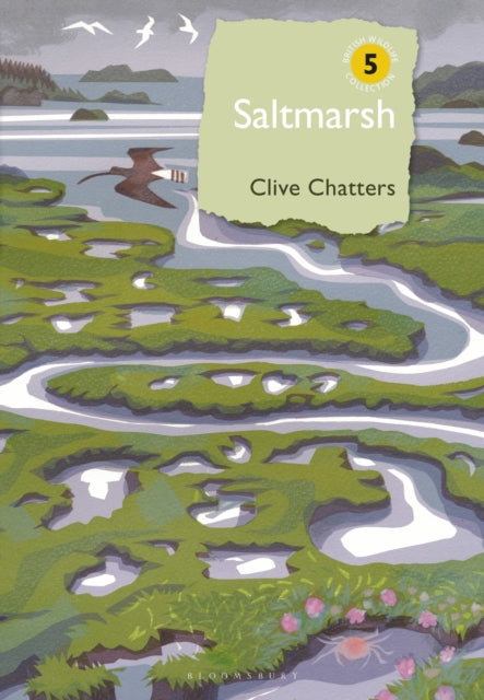 Book cover of: Saltmarsh