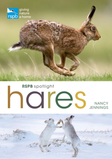 Book cover of: RSPB Spotlight Hares. By: Nancy Jennings