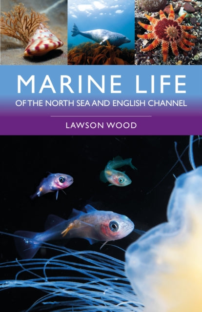 Book cover of: Marine Life of the North Sea and English Channel. By: Lawson Wood