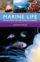 Book cover of: Marine Life of the North Sea and English Channel. By: Lawson Wood
