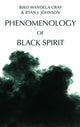 Book cover of: Phenomenology of Black Spirit. By: Biko Mandela Gray