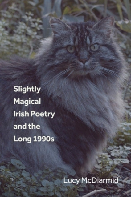 Book cover of: Slightly Magical Irish Poetry and the Long 1990s