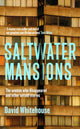 Saltwater Mansions, The Woman Who Disappeared and Other Untold Stories 9781399621977 David Whitehouse