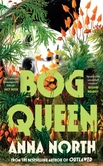 Book cover of: Bog Queen