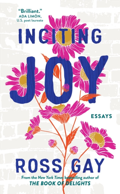 Inciting Joy, Essays 9781399716017 Ross Gay
