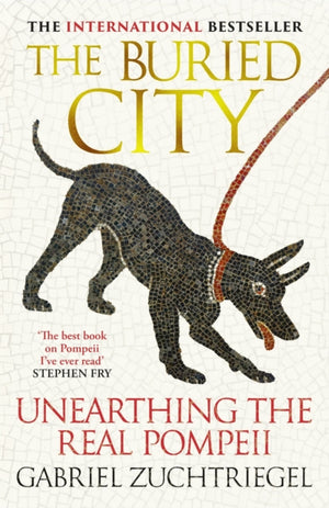Buried City, Unearthing the Real Pompeii - the Instant Sunday Times Bestseller