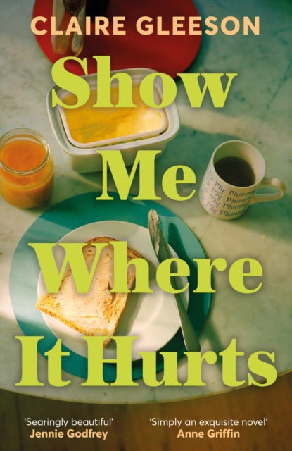Show Me Where It Hurts, 'A searingly beautiful novel' Jennie Godfrey