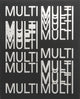 Book cover of: Multi Multi - Photoworks Annual #31