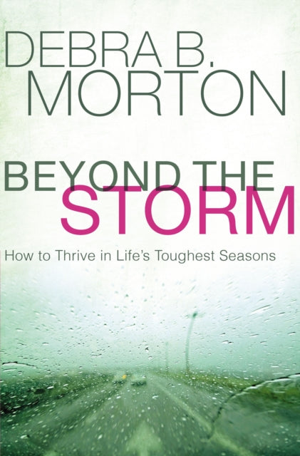 Book cover of: Beyond the Storm. By: Debra B. Morton
