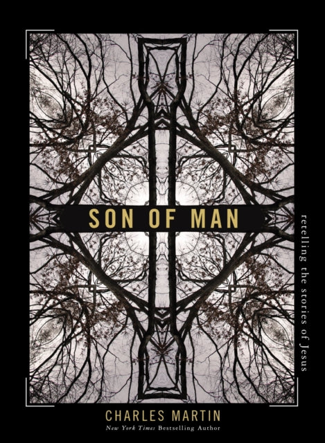 Book cover of: Son of Man. By: Charles Martin