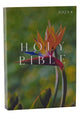 Book cover of: NRSV Catholic Edition Bible, Bird of Paradise Paperback (Global Cover Series). By: Catholic Bible Press
