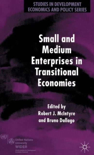 Book cover of: Small and Medium Enterprises in Transitional Economies