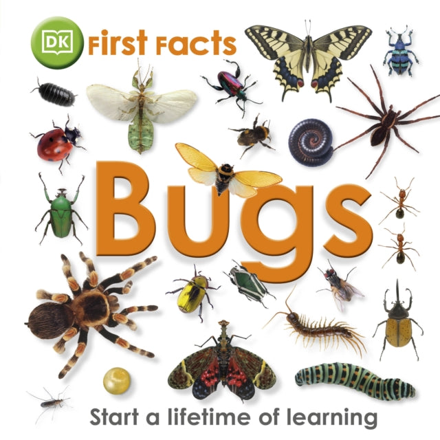 Book cover of: First Facts Bugs. By: DK Publishing