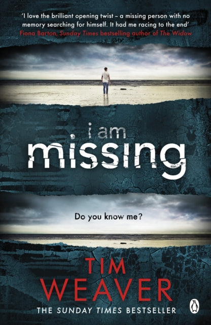I Am Missing, The heart-stopping thriller from the Sunday Times bestselling author of No One Home