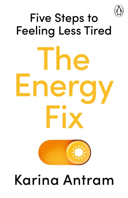 Book cover of: Energy Fix. By: Karina Antram