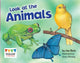 Book ISBN 9781406257038