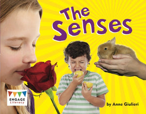 Book ISBN 9781406265293
