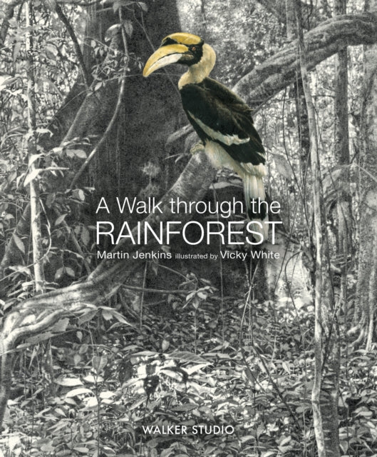 Book cover of: Walk Through the Rainforest. By: Martin Jenkins