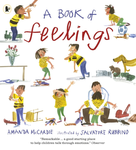 Book cover of: Book of Feelings. By: Amanda McCardie