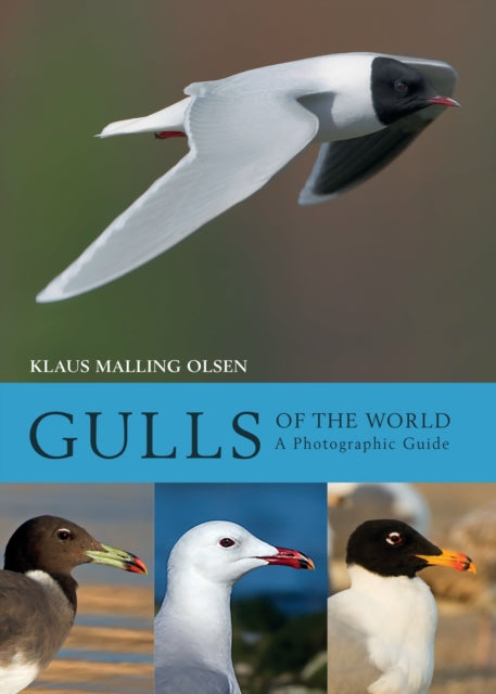 Book cover of: Gulls of the World. By: Klaus Malling Olsen