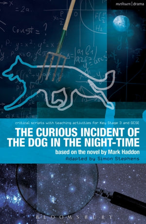 Curious Incident of the Dog in the Night-Time, The Play